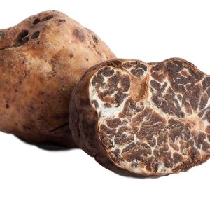 Tartufo bianchetto o Marzulo